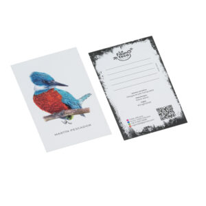 Lámina Postal Martín Pescador (10x15)