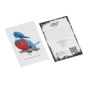 Lámina Postal Martín Pescador (10x15)